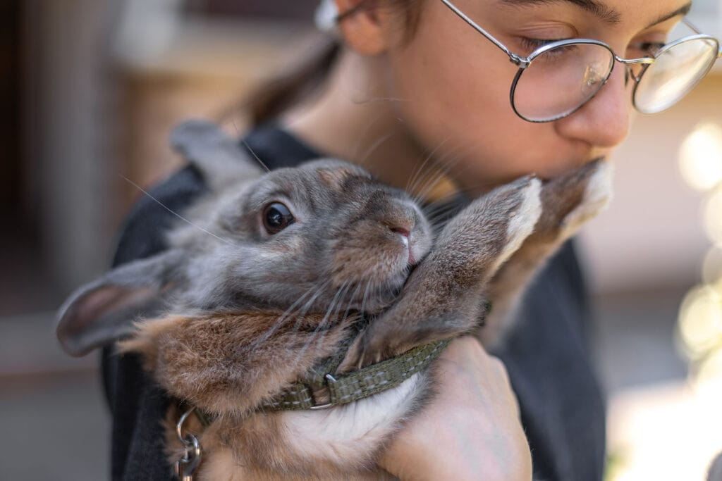 Thérapie par l'animal avec un lapin